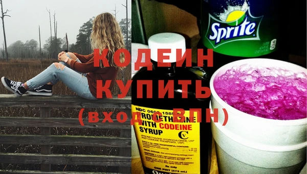 дурь Алзамай