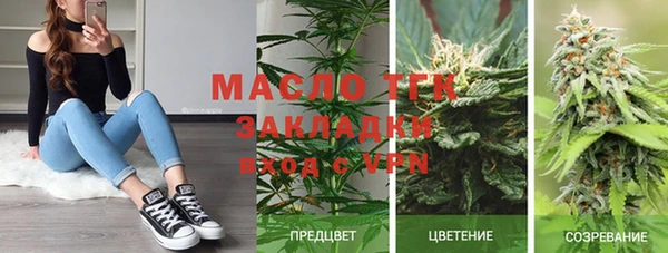 шишки Арсеньев