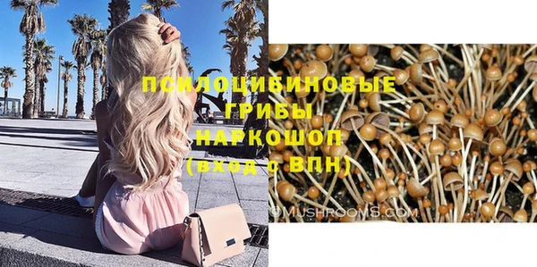 шишки Арсеньев
