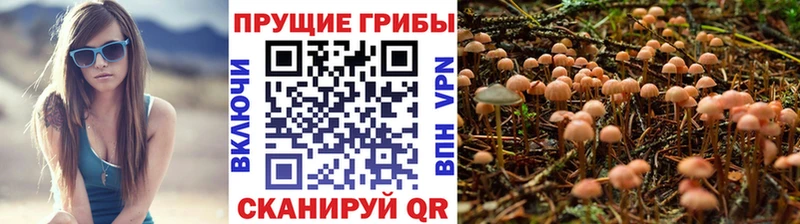 Псилоцибиновые грибы Magic Shrooms Ханты-Мансийск